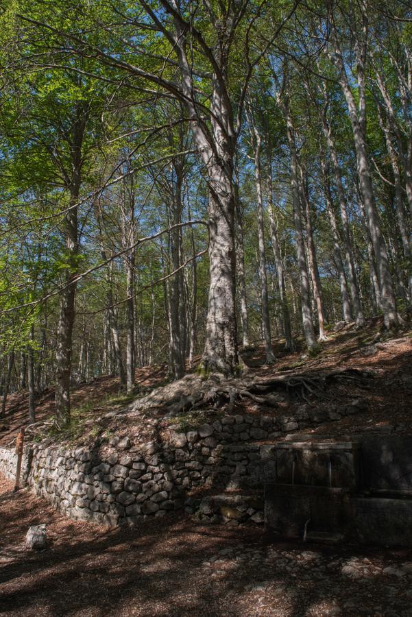 Albergo Parco Della Maiella 圣埃乌费米亚阿马伊埃拉 外观 照片